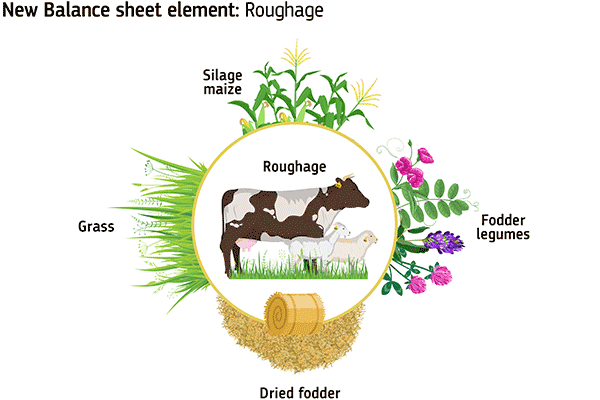 Image showing the mix of roughage in animal feed