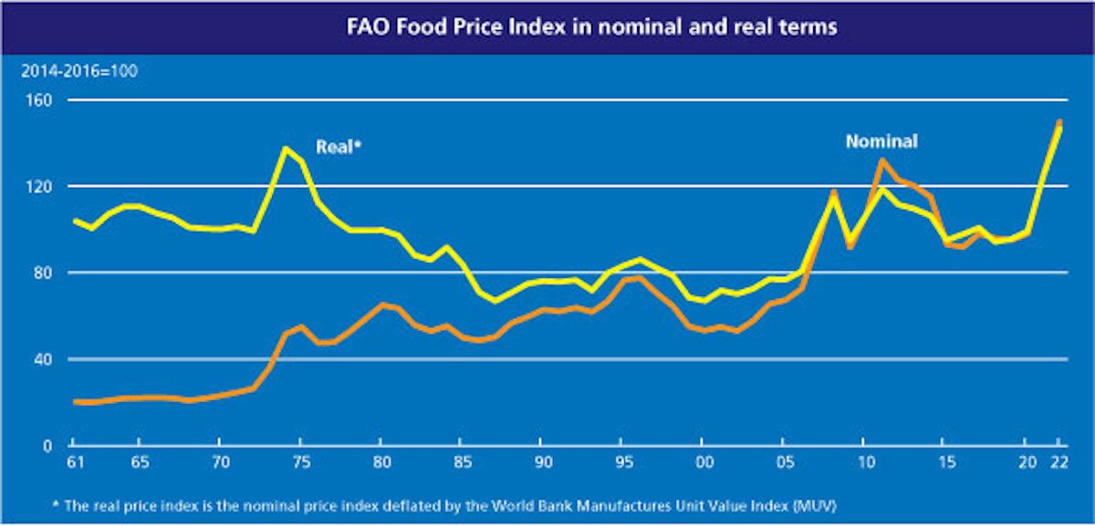 FAO Food Price Index registered a steep drop in July